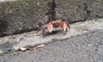 20130726_184942.jpg